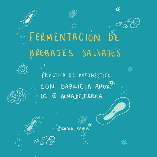 Práctica de autogestión: Fermentación de brebajes salvajes